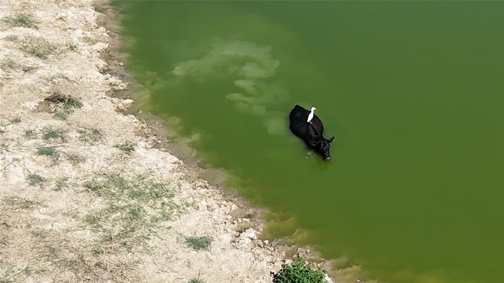 1129 Rd Chatfield Tx 75105 Road Chatfield, TX 75105 - Photo 5 of 7 a bathroom with a shower