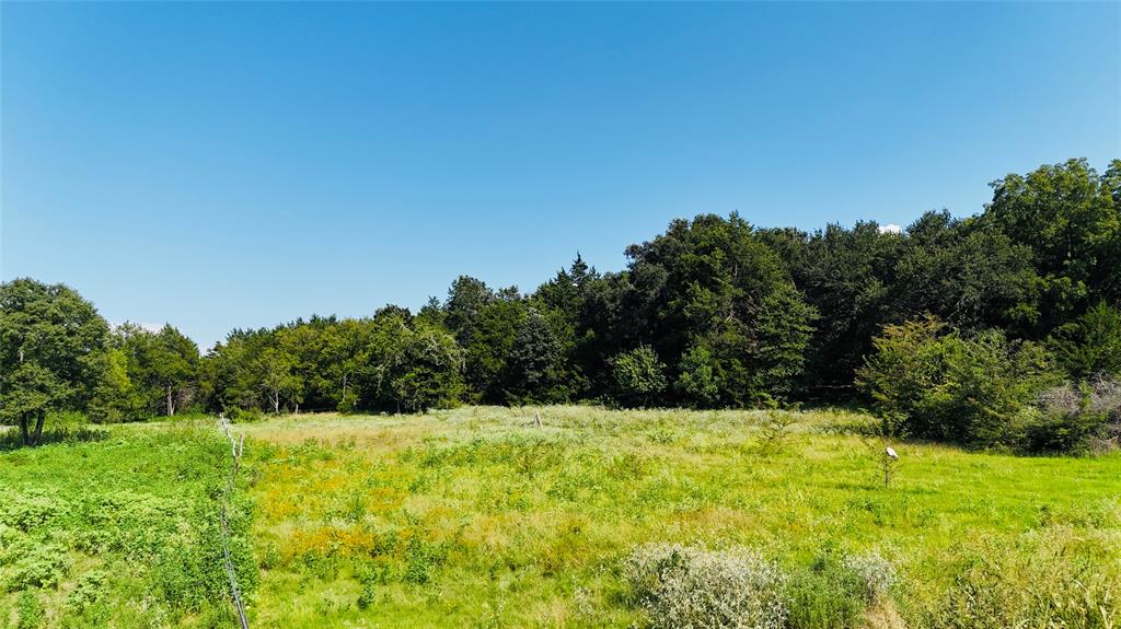 1129 Rd Chatfield Tx 75105 Road Chatfield, TX 75105 - Photo 6 of 7 a view of a garden