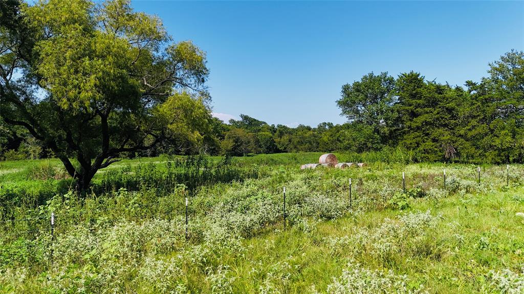 1129 Rd Chatfield Tx 75105 Road Chatfield, TX 75105 - Photo 7 of 7 a view of a lush green forest