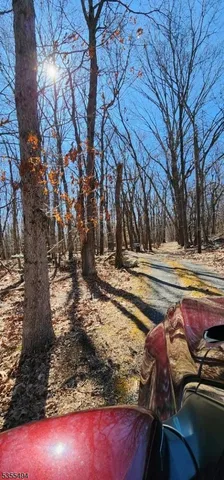 a view of a swimming pool with a yard