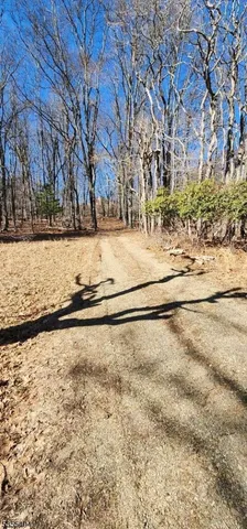 a view of yard with trees