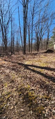 a view of covered with snow