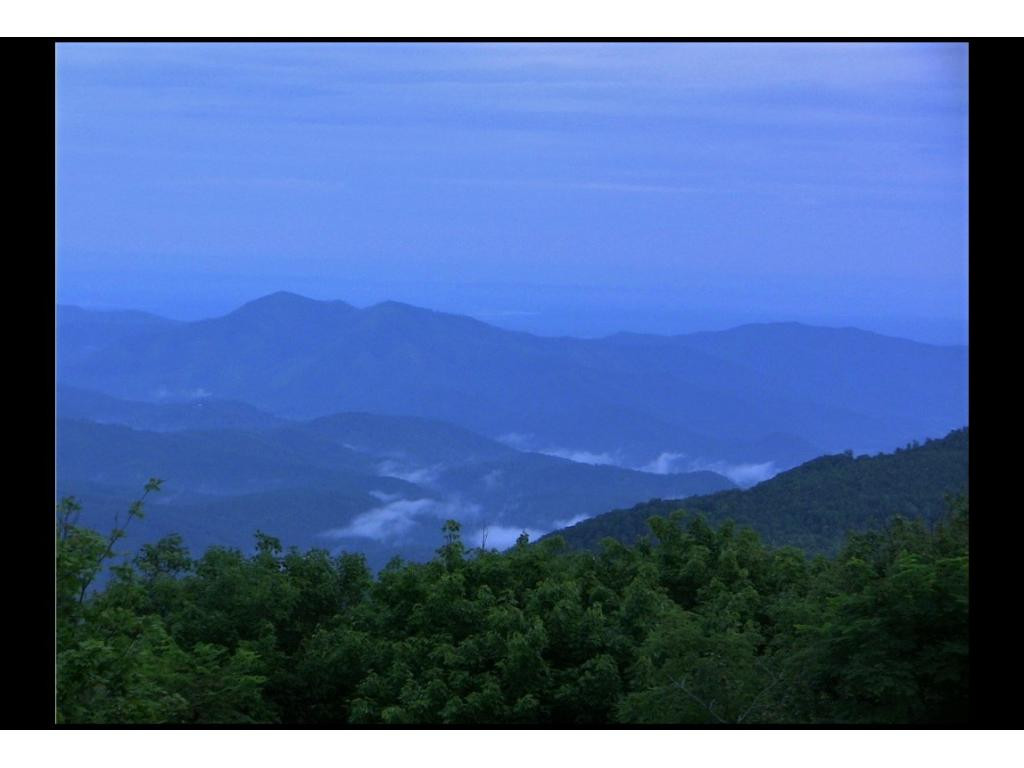 2975 Round Mountain Road Del Rio, TN 37727 - Photo 35 of 36 Majestic views