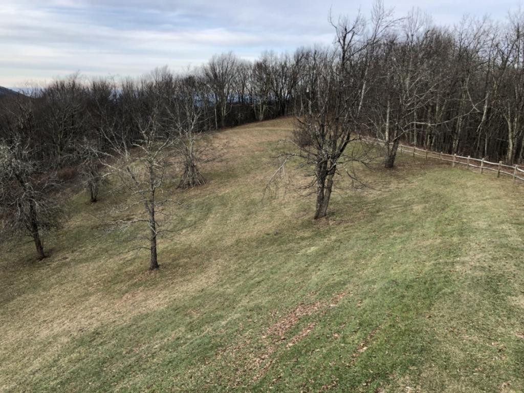 2975 Round Mountain Road Del Rio, TN 37727 - Photo 36 of 36 Photo 36