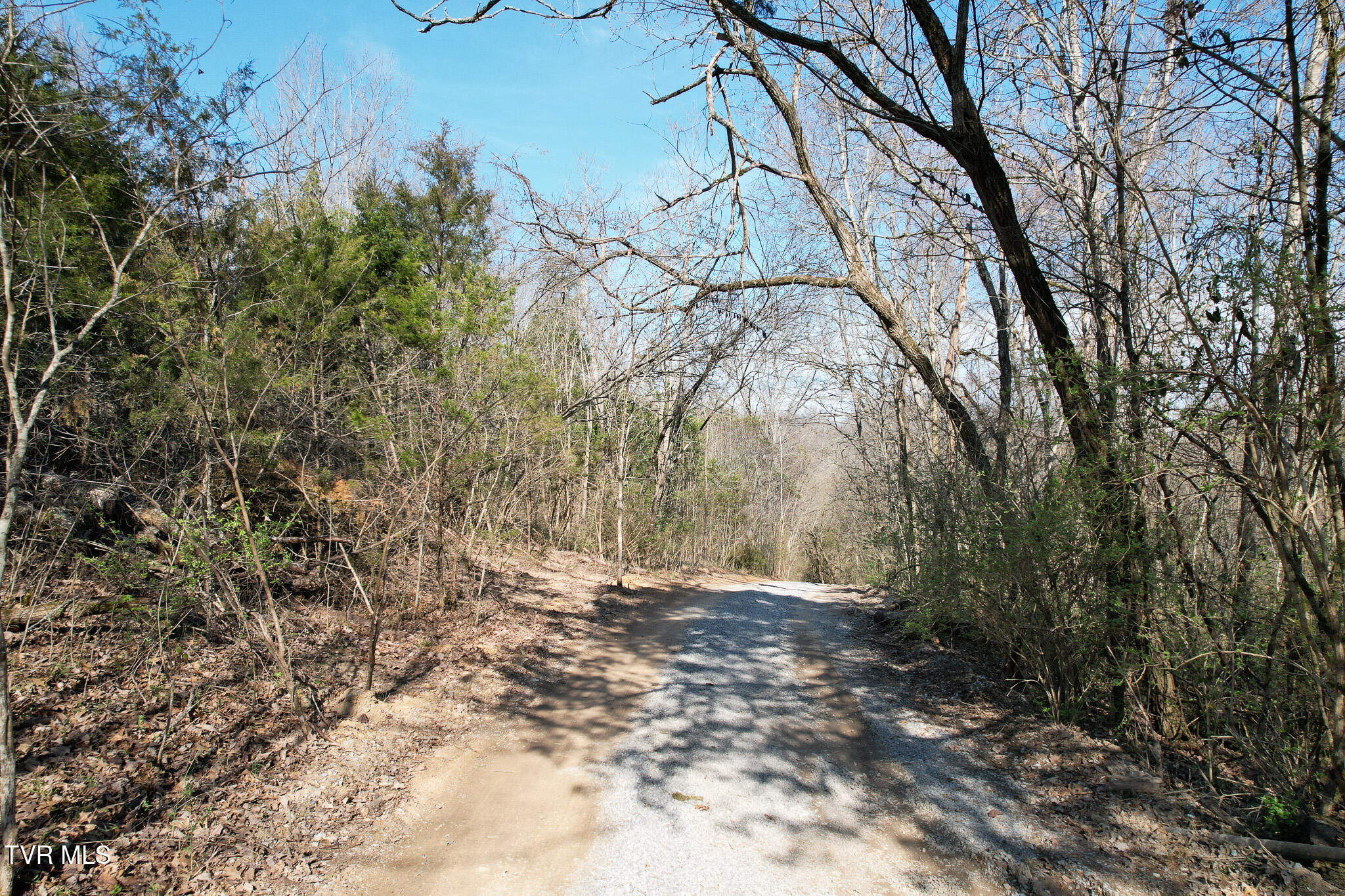 Tbd Peppermint Lane Greeneville, TN 37743 - Photo 12 of 35 DJI_0030
