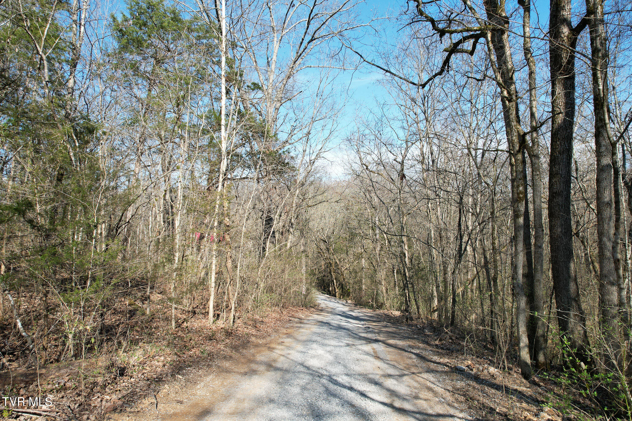 Tbd Peppermint Lane Greeneville, TN 37743 - Photo 13 of 35 DJI_0031