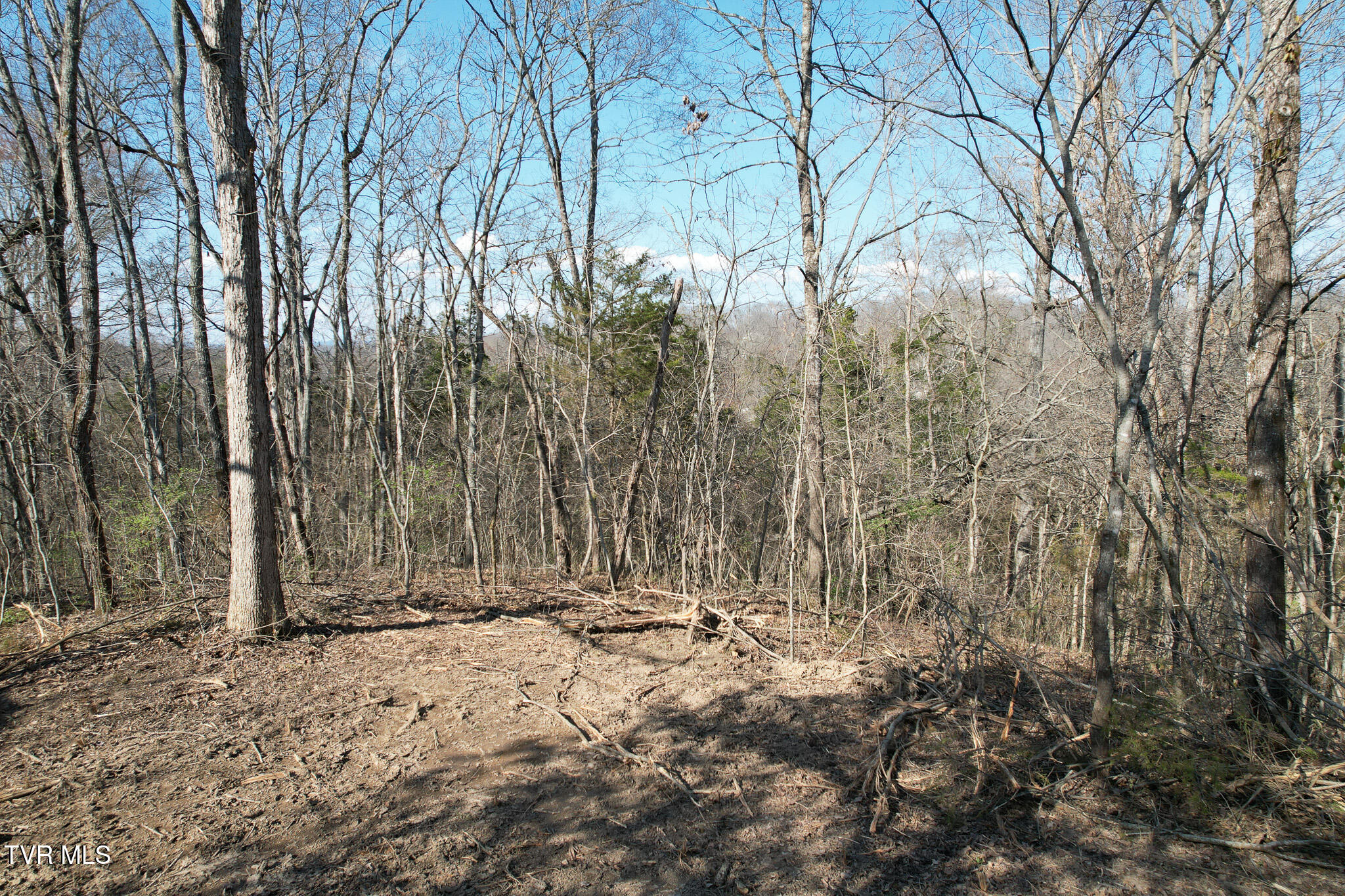 Tbd Peppermint Lane Greeneville, TN 37743 - Photo 16 of 35 DJI_0034
