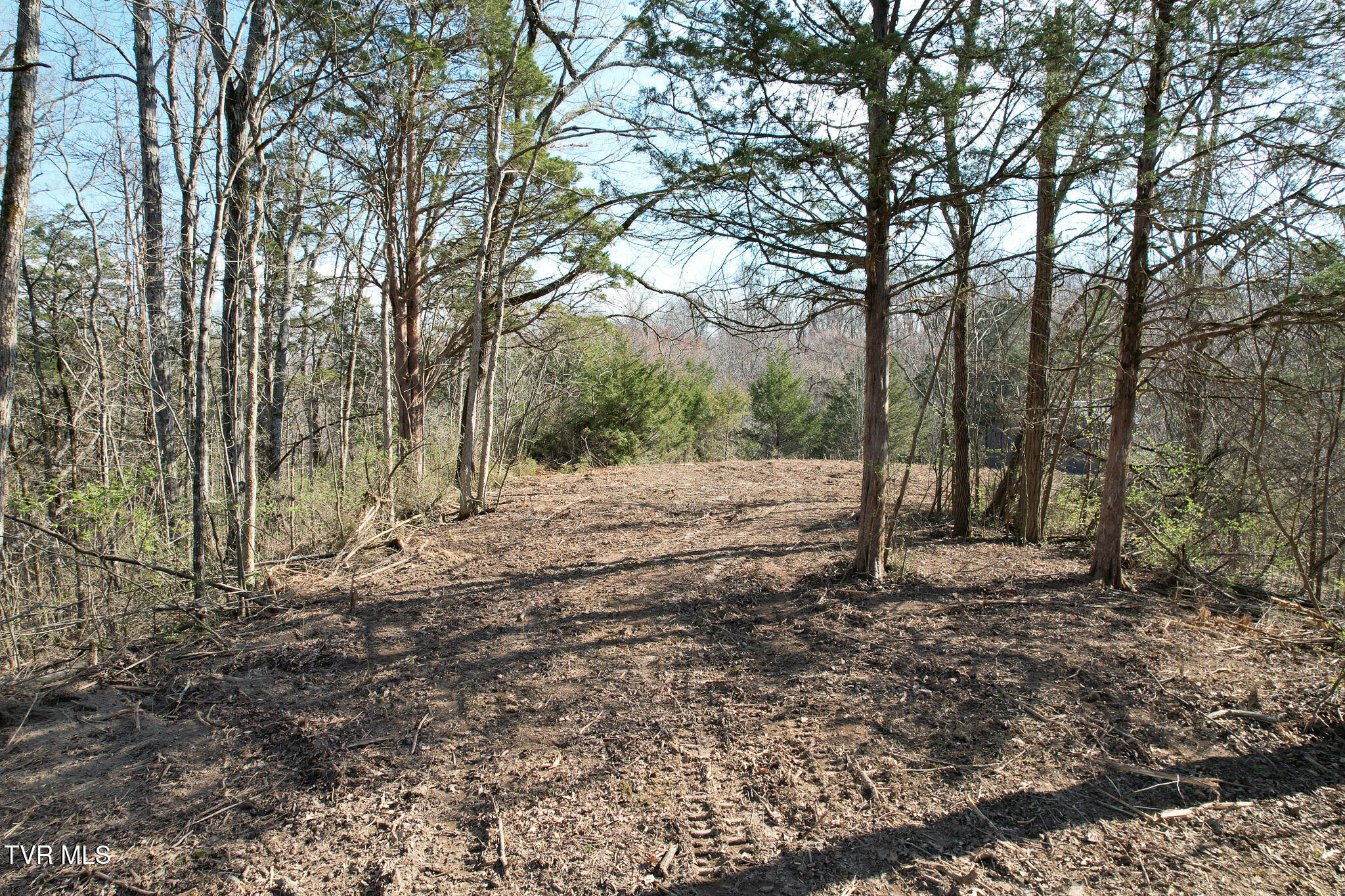 Tbd Peppermint Lane Greeneville, TN 37743 - Photo 17 of 35 DJI_0036
