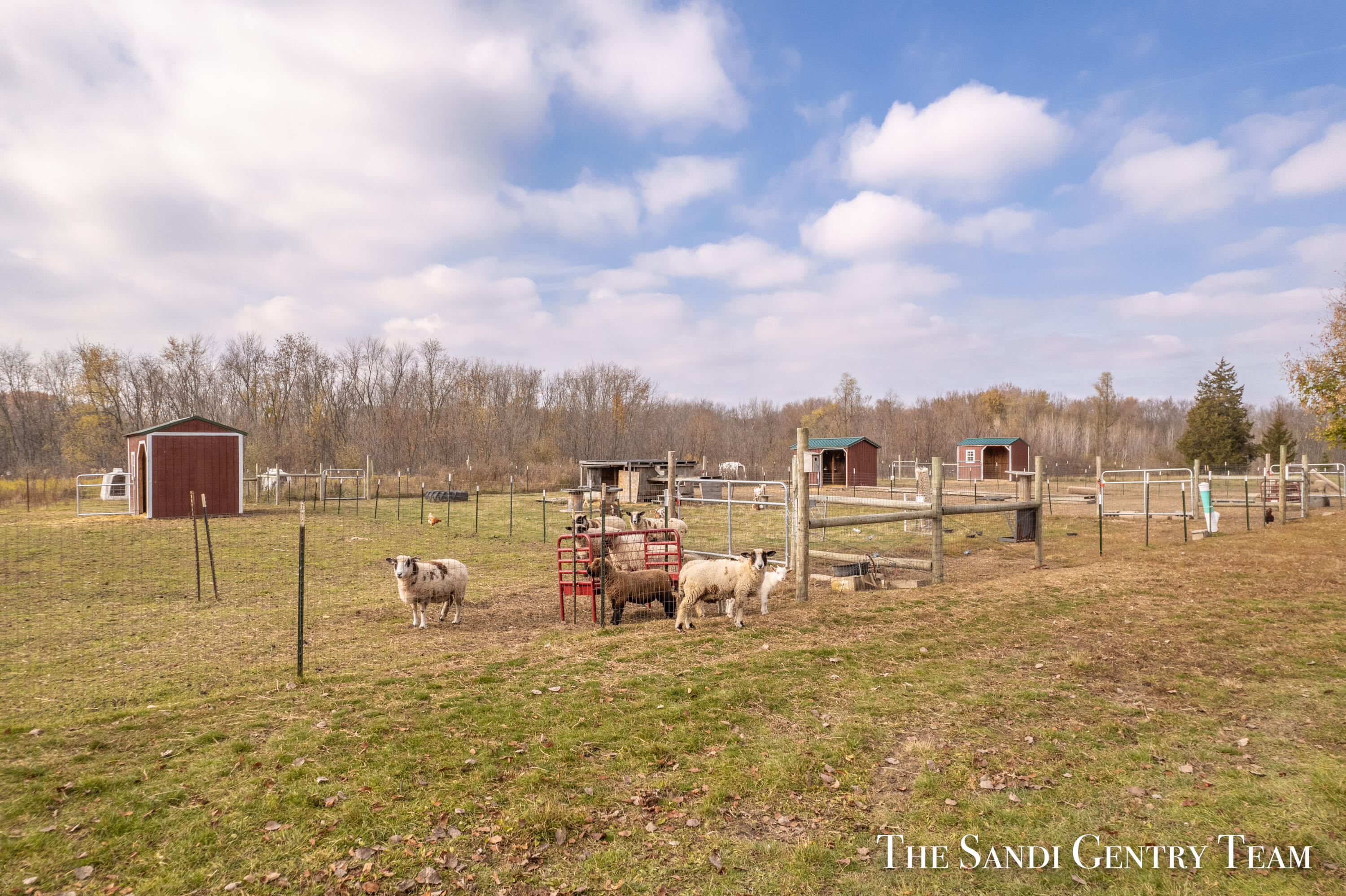 10370 State Road Nunica, MI 49448 - Photo 54 of 76 DJI_0577