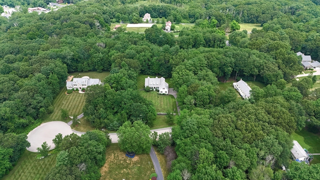 3 Freeman Place Mendon, MA 01756 - Photo 40 of 41 a view of a bunch of trees in the background