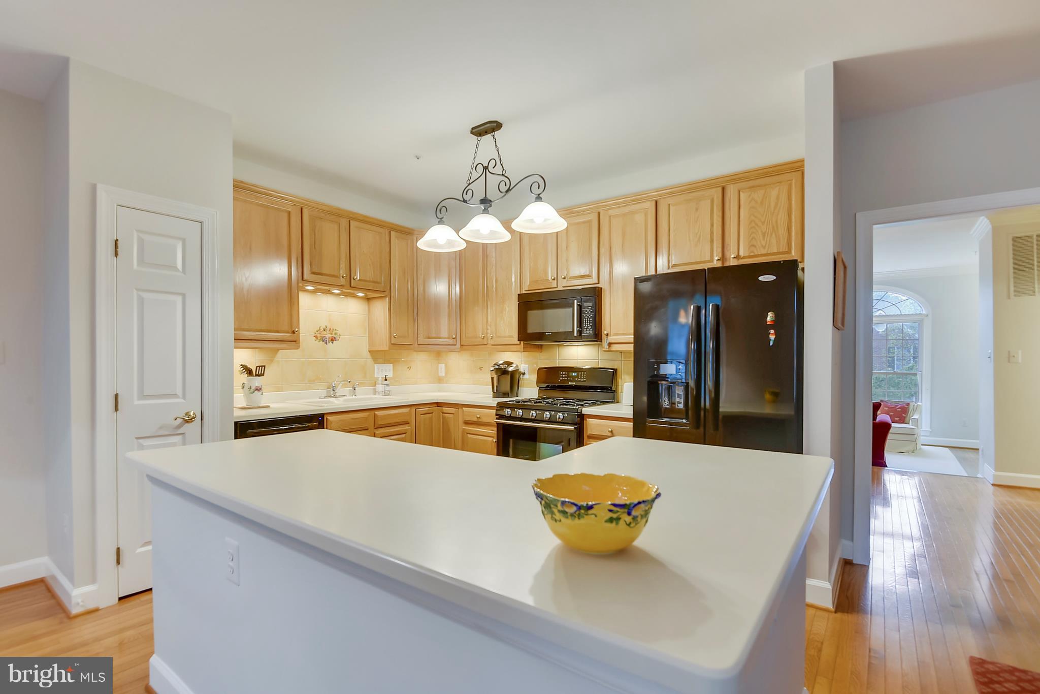 8524 Bells Ridge Terrace Potomac, MD 20854 - Photo 5 of 30 Kitchen