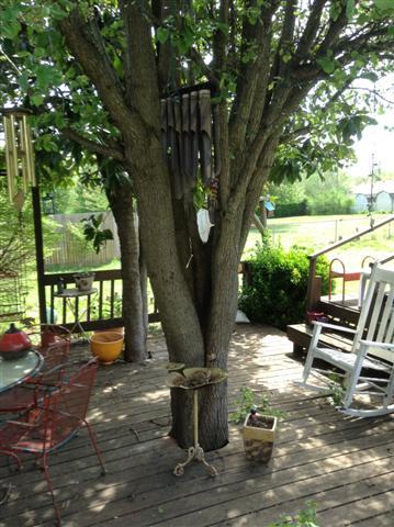 3301 Dilton Mankin Road Murfreesboro, TN 37127 - Photo 2 of 3 Shady deck