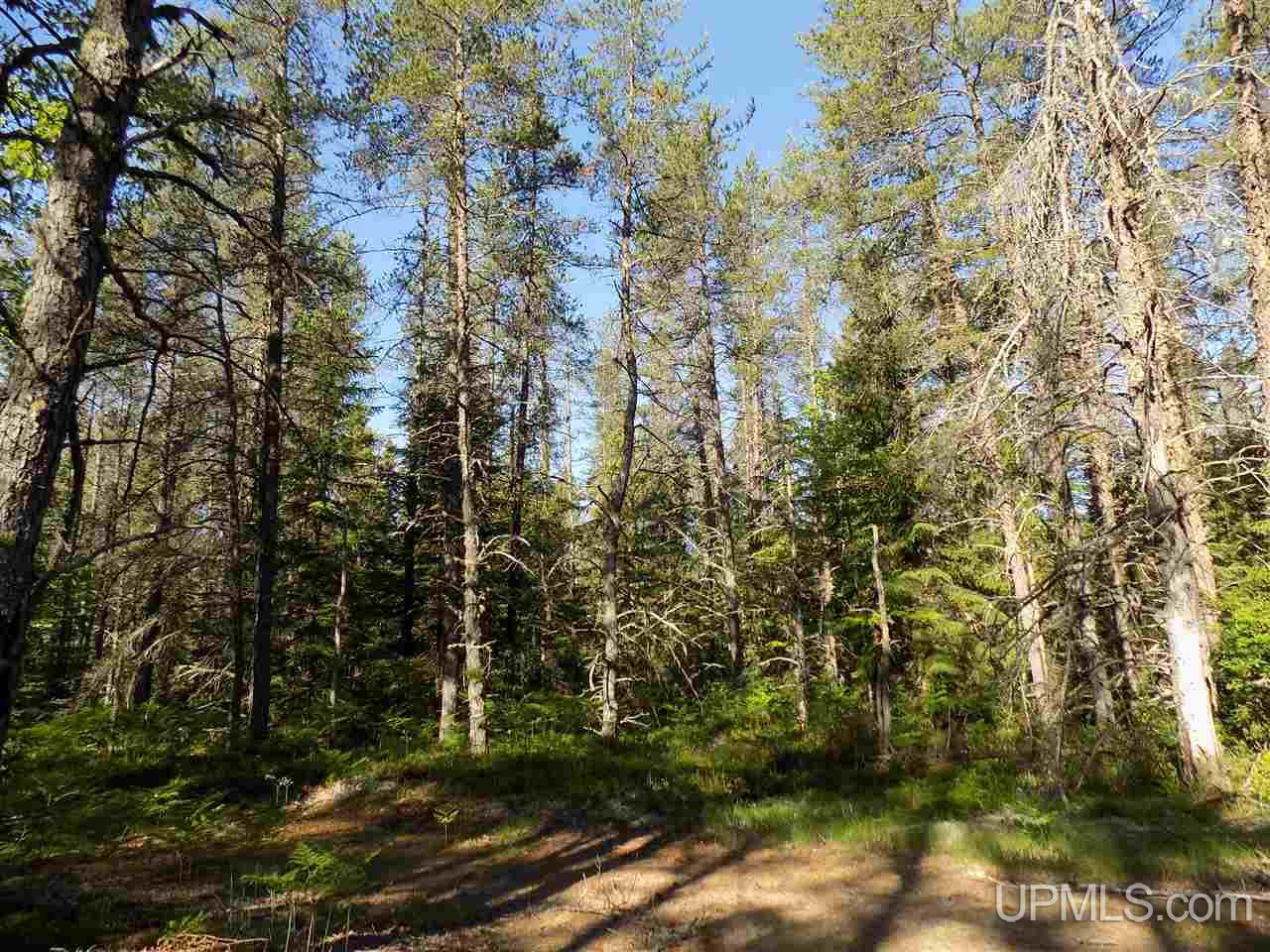 2207 West Co Road Seney, MI 49883 - Photo 4 of 32
