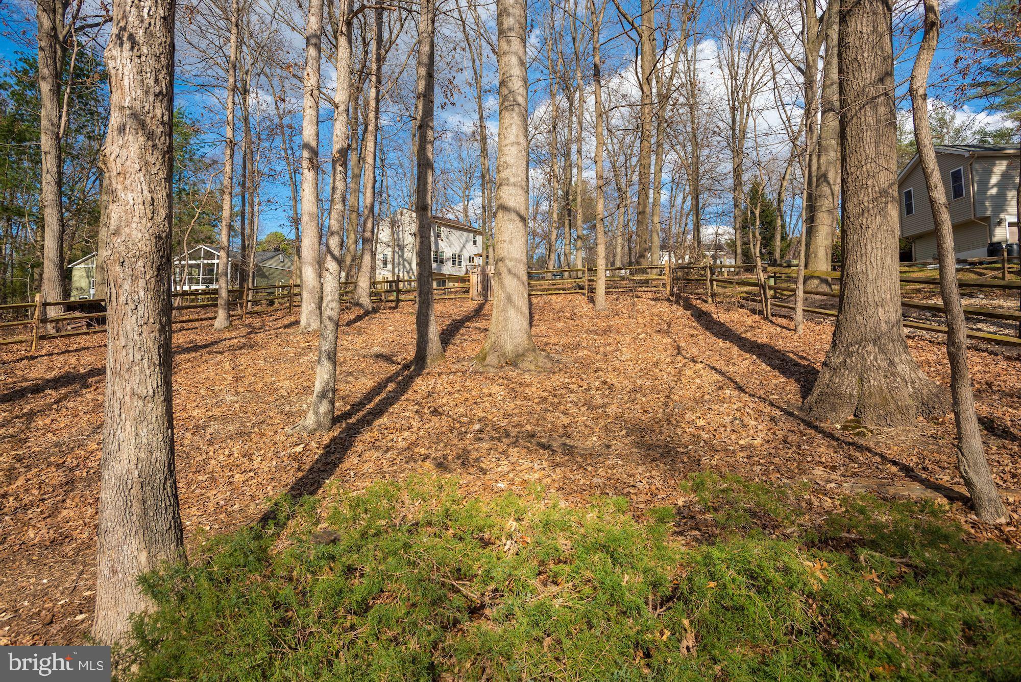 10712 Oldfield Drive Reston, VA 20191 - Photo 38 of 38 Backyard