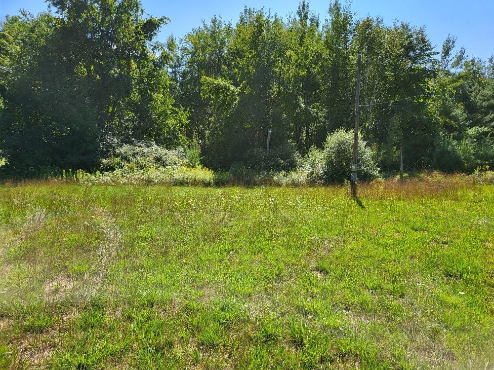 498 West Ridge Road Gladwin, MI 48624 - Photo 1 of 13