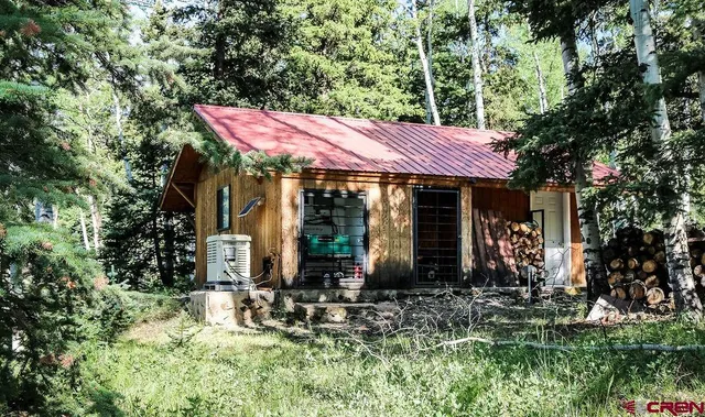 a view of a fire pit with large trees