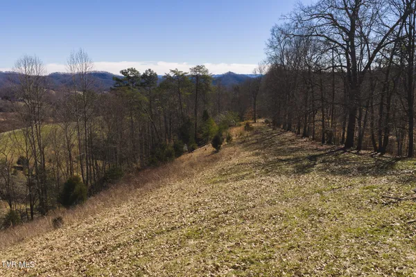 $449,000 | 50-acres 50-acres Sutton Hollow Road, Sneedville, TN 37869