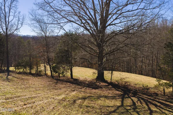 $449,000 | 50-acres 50-acres Sutton Hollow Road, Sneedville, TN 37869