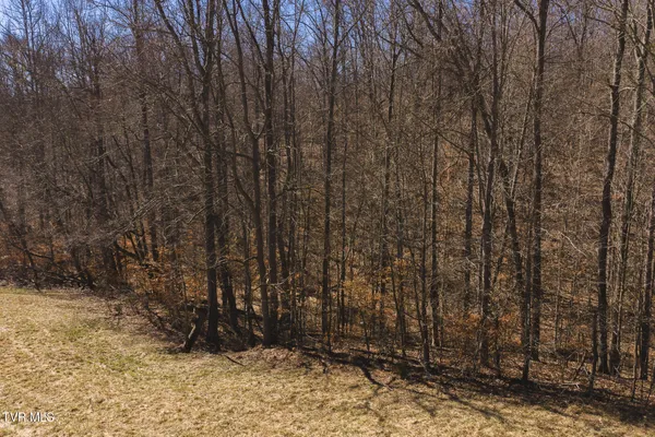 $449,000 | 50-acres 50-acres Sutton Hollow Road, Sneedville, TN 37869