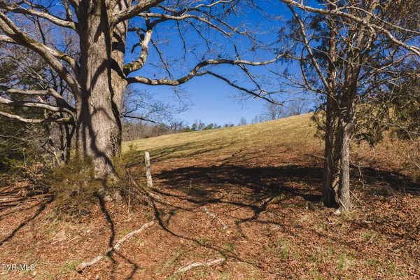 $449,000 | 50-acres 50-acres Sutton Hollow Road, Sneedville, TN 37869