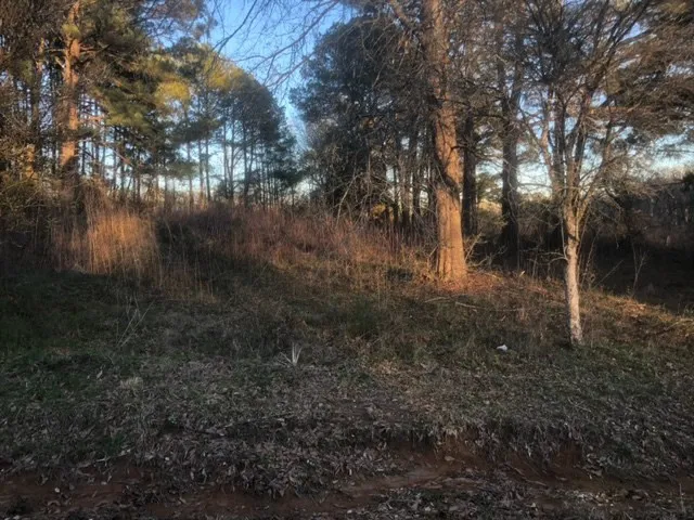 $20,000 | Tbd Tbd Integrity Road, McComb, MS 39648