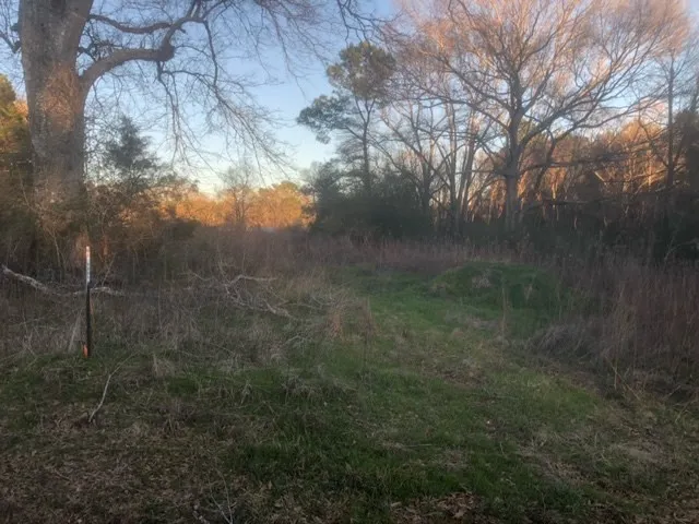 $20,000 | Tbd Tbd Integrity Road, McComb, MS 39648