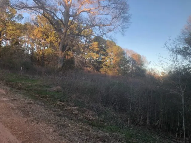$20,000 | Tbd Tbd Integrity Road, McComb, MS 39648