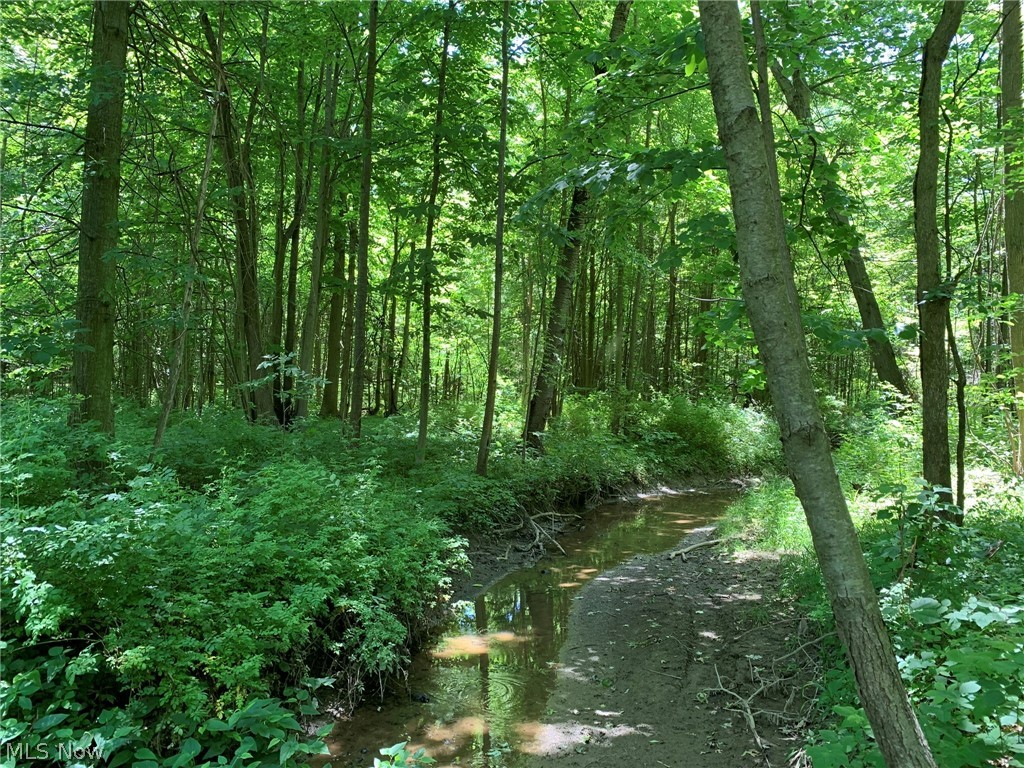 4136 Austin Road Geneva, OH 44041 - Photo 5 of 35