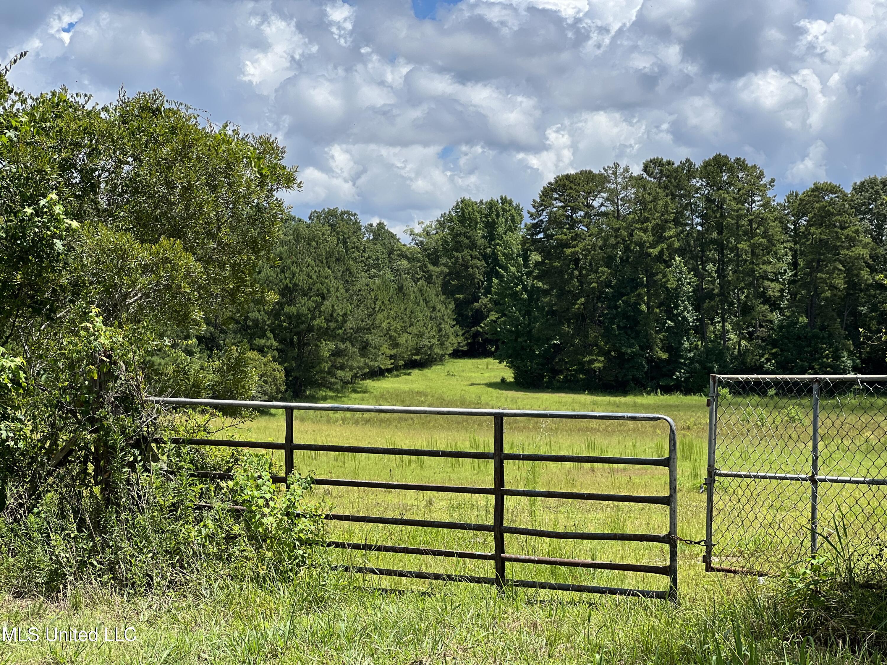 0 Andrews Road Florence, MS 39073 - Photo 1 of 24 67830168461--58C63B81-2EB4-481B-890A-CEB