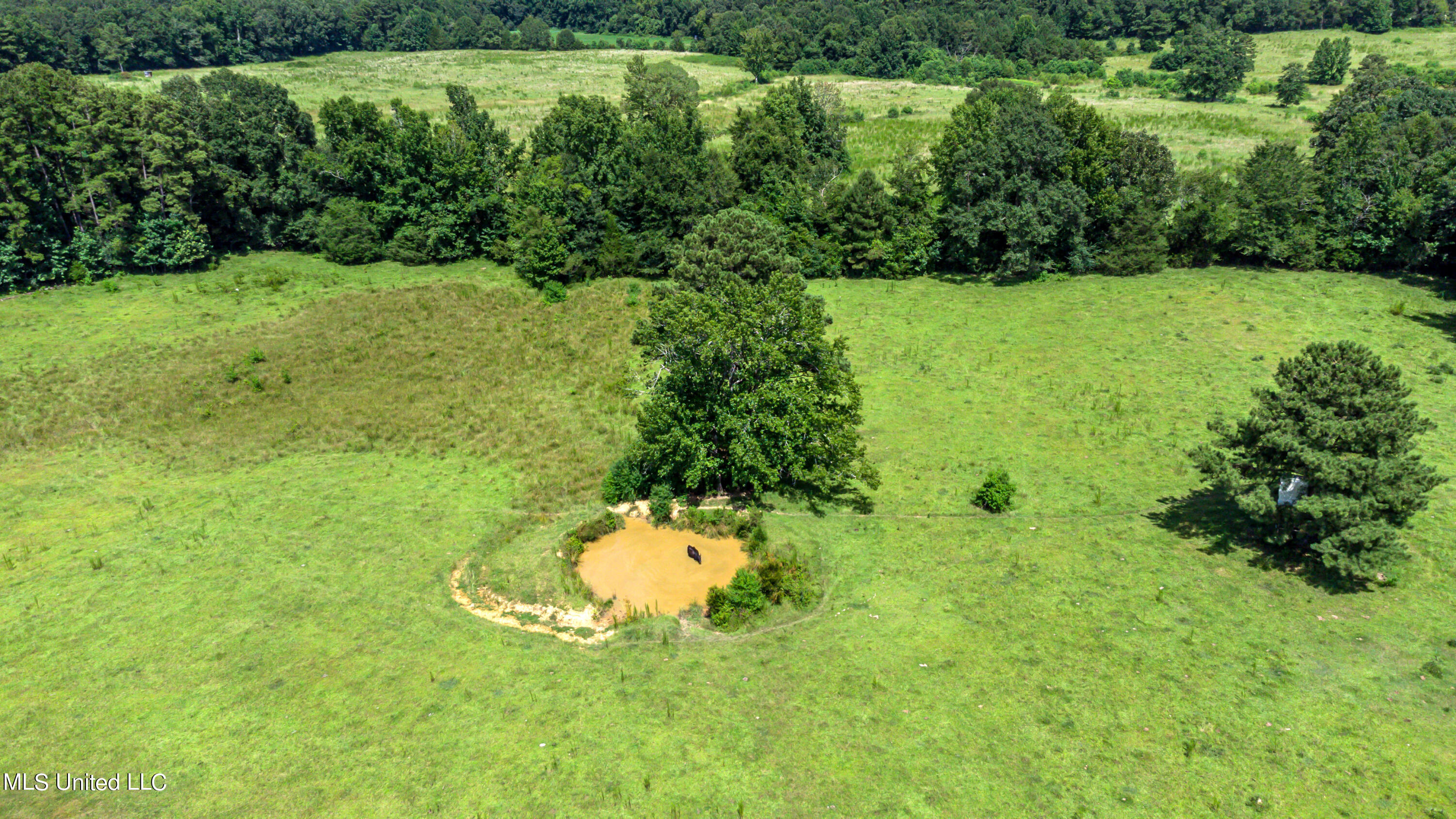 0 Andrews Road Florence, MS 39073 - Photo 20 of 24 Andrews Road Land Florence Drone-14