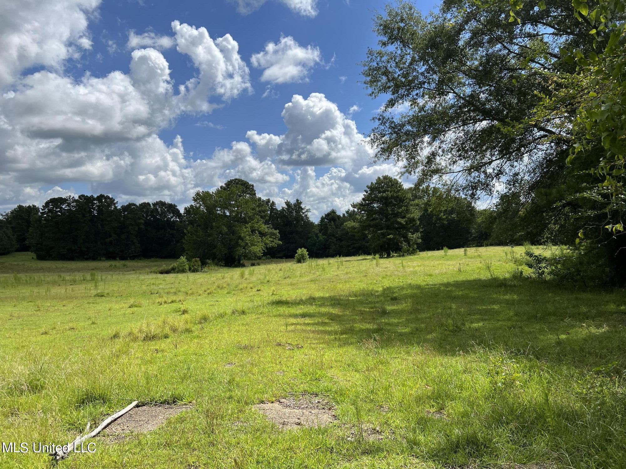0 Andrews Road Florence, MS 39073 - Photo 5 of 24 IMG-3518