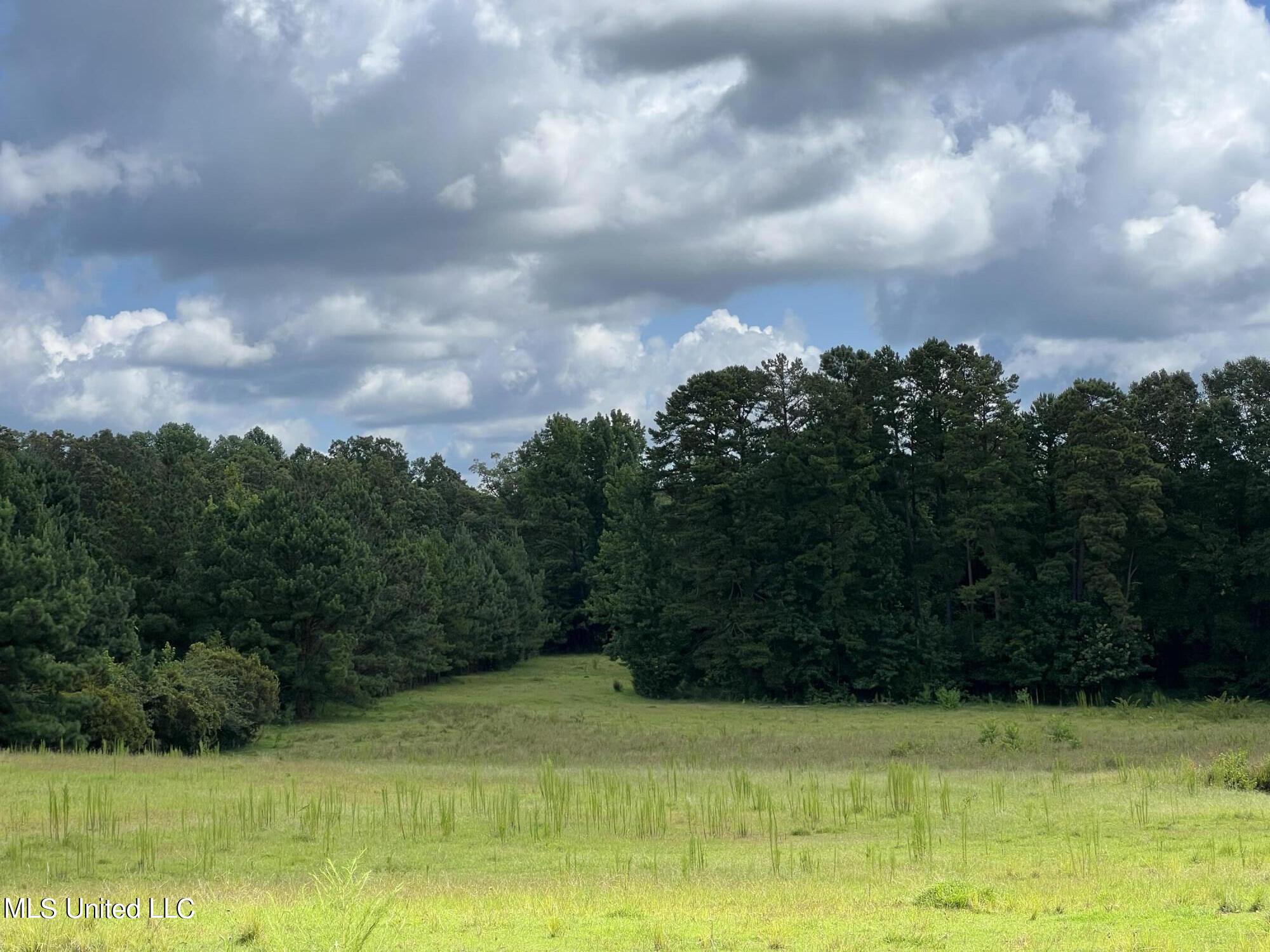 0 Andrews Road Florence, MS 39073 - Photo 8 of 24 IMG-3519