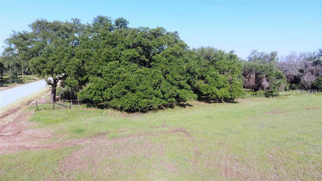 4750 Coleman Ranch Road Tolar, TX 76476 - Photo 12 of 16 a view of a yard with a tree