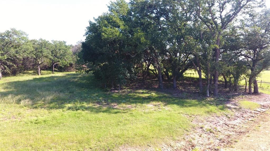 4750 Coleman Ranch Road Tolar, TX 76476 - Photo 16 of 16 a view of swimming pool with trees