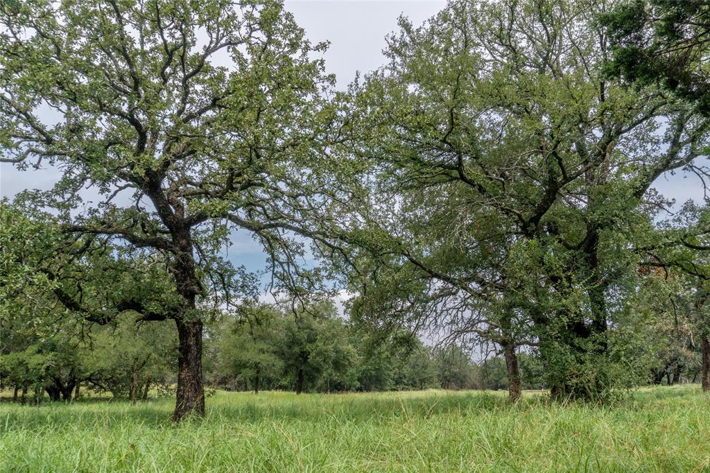 4750 Coleman Ranch Road Tolar, TX 76476 - Photo 3 of 16 a view of an outdoor space and a yard