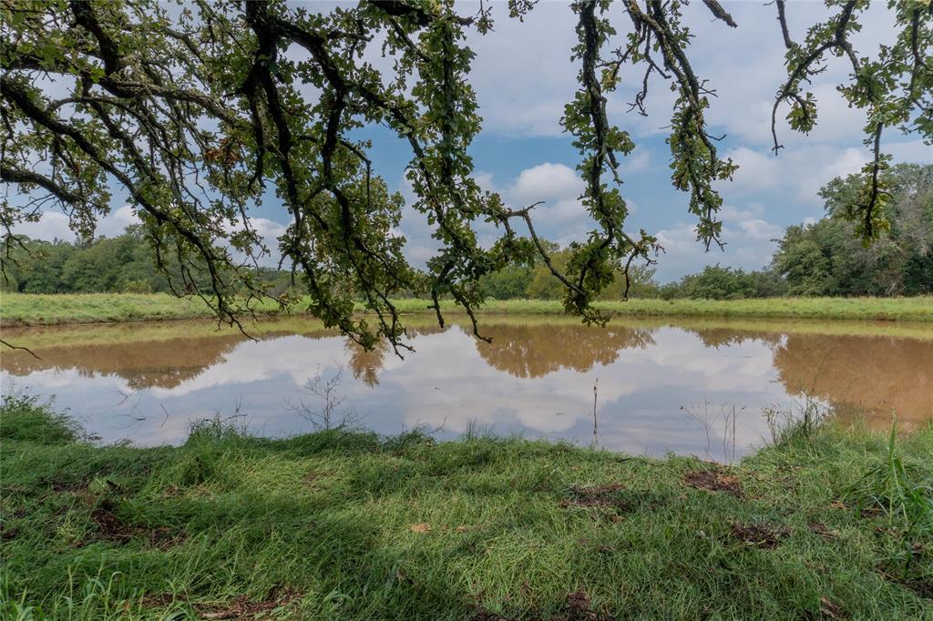 4750 Coleman Ranch Road Tolar, TX 76476 - Photo 4 of 16 a view of a lake