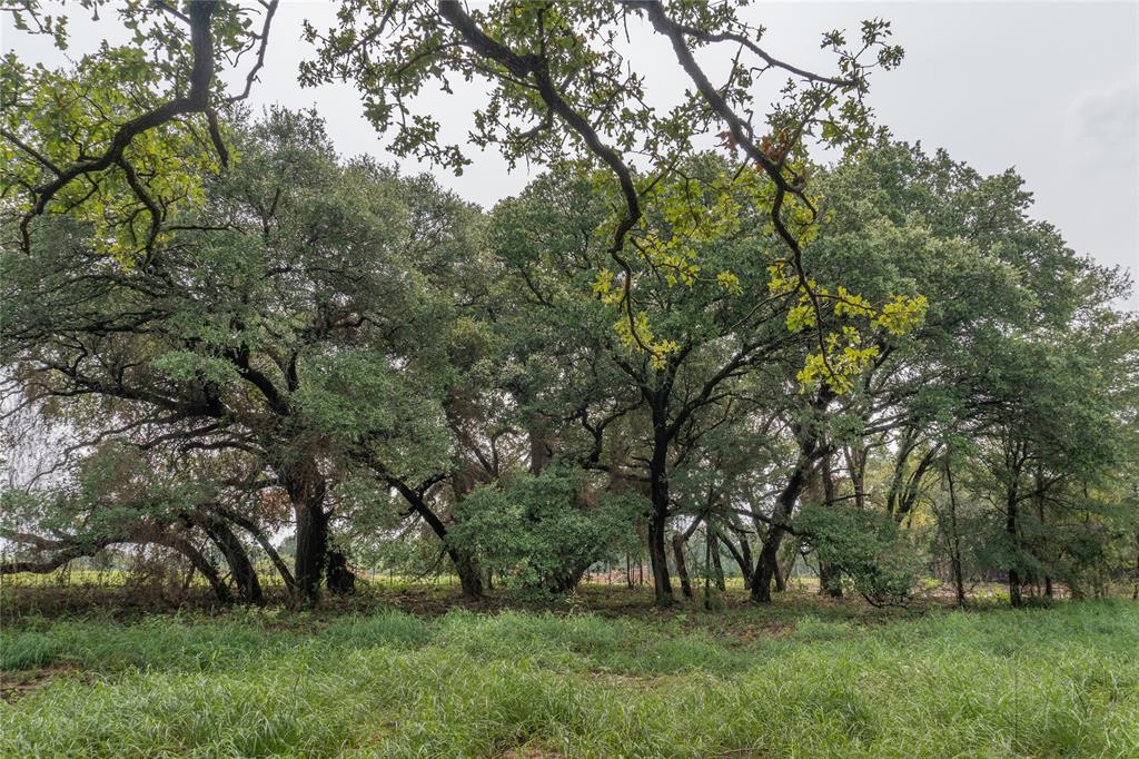 4750 Coleman Ranch Road Tolar, TX 76476 - Photo 5 of 16 a view of outdoor space