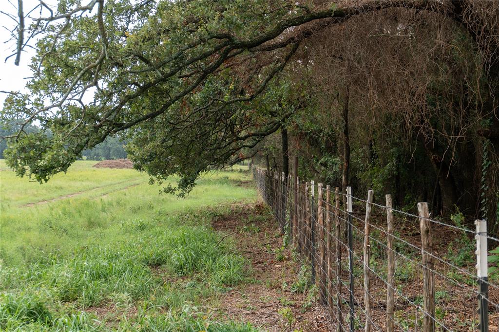 4750 Coleman Ranch Road Tolar, TX 76476 - Photo 6 of 16 a view of an outdoor space