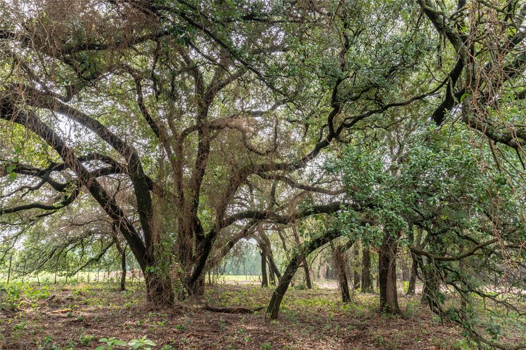 4750 Coleman Ranch Road Tolar, TX 76476 - Photo 7 of 16