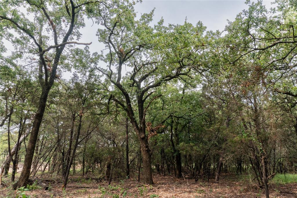 4750 Coleman Ranch Road Tolar, TX 76476 - Photo 8 of 16 a backyard of a house with lots of trees