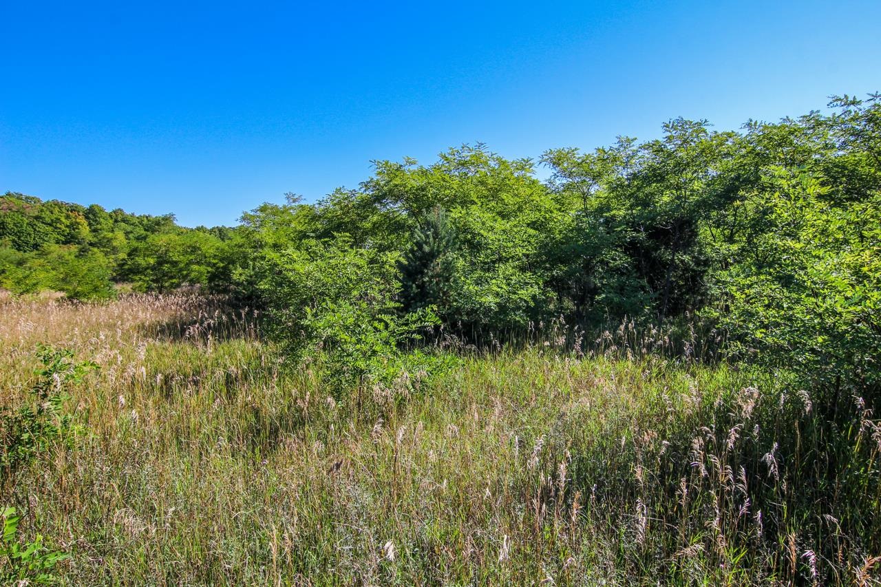 A3 Wallaker Road, Unit LOT: A3 Benzonia, MI 49616 - Photo 10 of 17