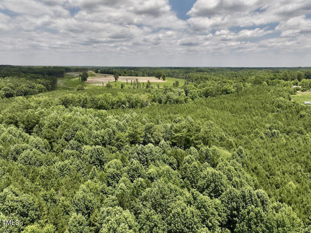 8 Peachtree Hills Road Spring Hope, NC 27882 - Photo 16 of 29 16