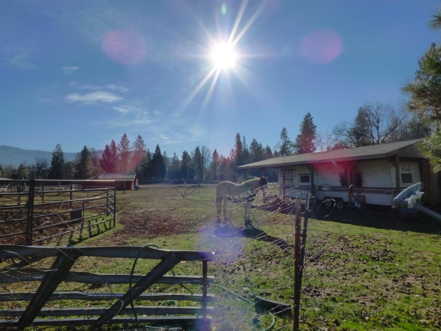 111 Dick George Road Cave Junction, OR 97523 - Photo 16 of 30 Additional Photo
