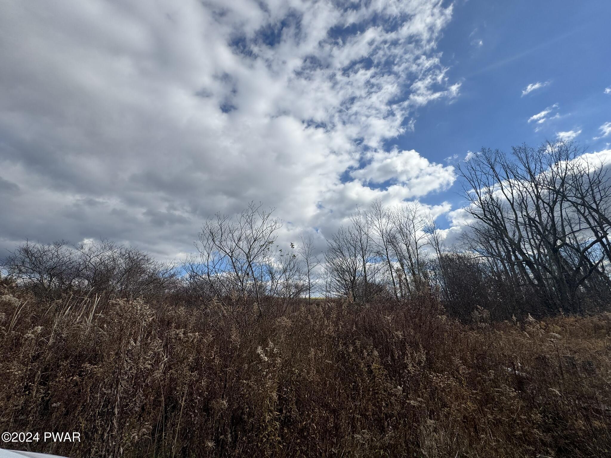 402 Jubinsky Road Waymart, PA 18472 - Photo 6 of 30 9.5 Acres Fields/Wooded