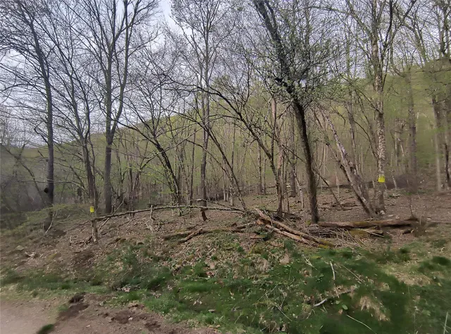 $55,000 | Chiloway Road, Hancock, NY 13783