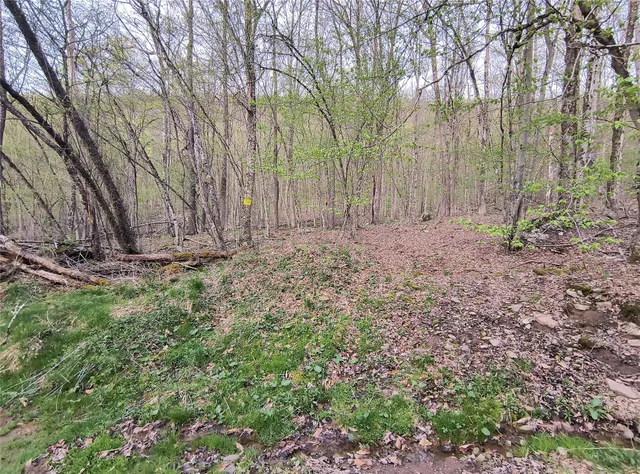 $55,000 | Chiloway Road, Hancock, NY 13783