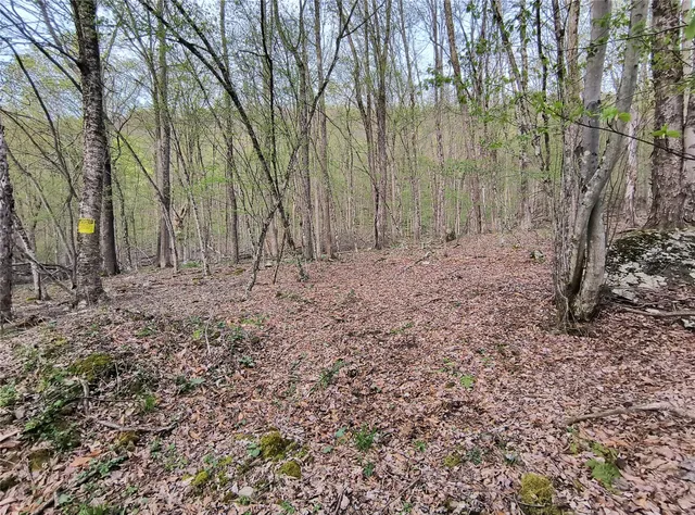 $55,000 | Chiloway Road, Hancock, NY 13783