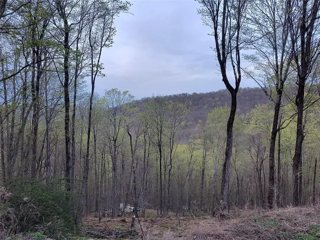 $55,000 | Chiloway Road, Hancock, NY 13783