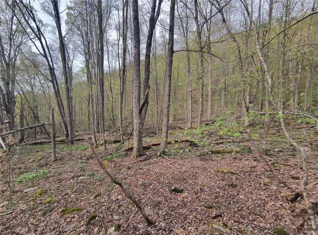 $55,000 | Chiloway Road, Hancock, NY 13783