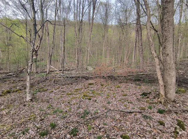 $55,000 | Chiloway Road, Hancock, NY 13783